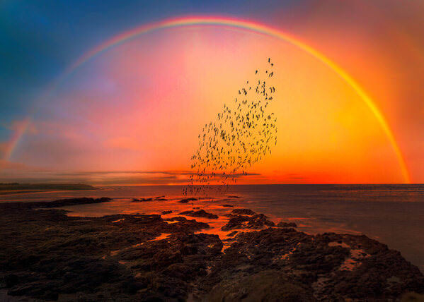 Photograph Diana Ivanova Chasing The Rainbow on One Eyeland