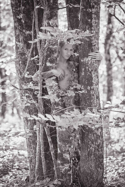 Photograph Thierry Smets Le Tronc on One Eyeland