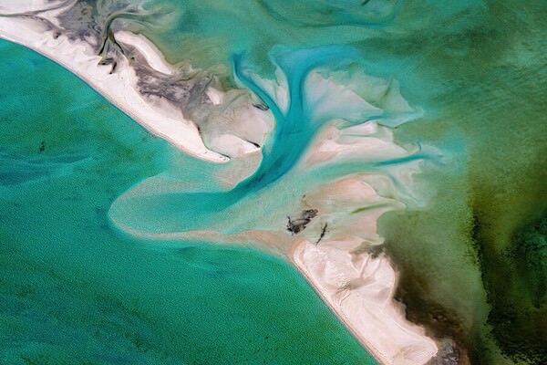 Photograph Satheesh Nair Shark Bay 3453 on One Eyeland