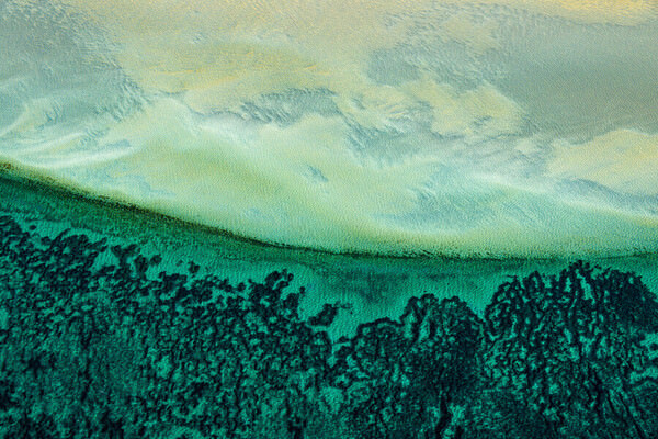 Photograph Satheesh Nair Shark Bay 7327 on One Eyeland