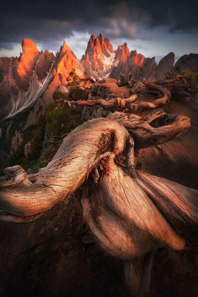 Photograph Roksolana Baran Ember Dragon on One Eyeland