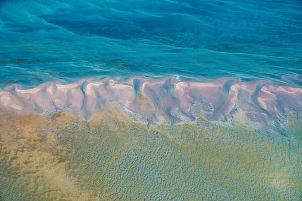 Photograph Satheesh Nair Shark Bay 7087 on One Eyeland
