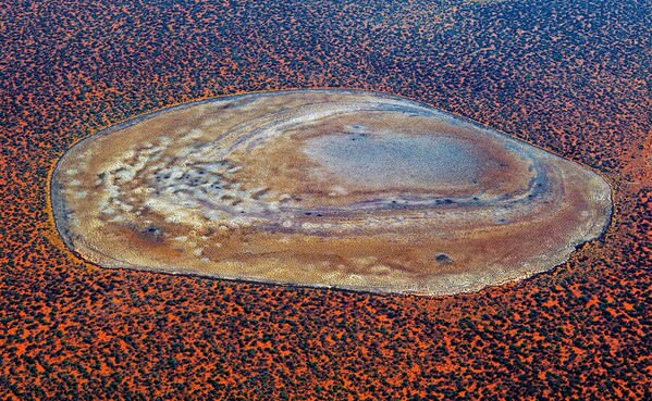 Photograph Satheesh Nair Shark Bay 3544 on One Eyeland