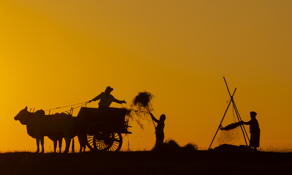Photograph Kyaw Zay Yar Lin Life Of Farmers on One Eyeland