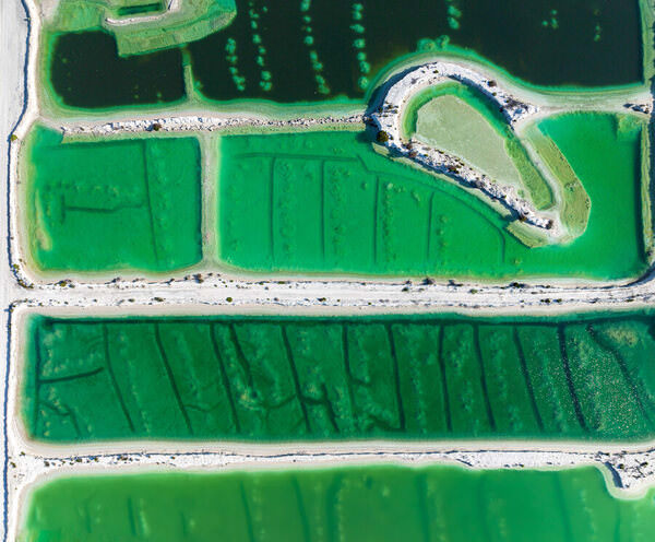 Photograph Satheesh Nair Shark Bay Dji 0570 Pano on One Eyeland