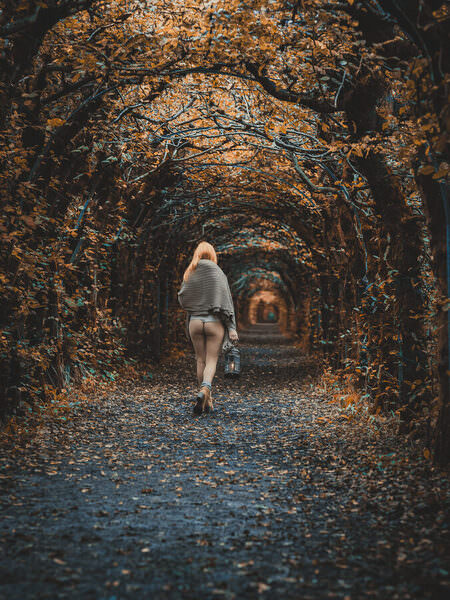 Photograph Thierry Smets Le Depart En Automne on One Eyeland