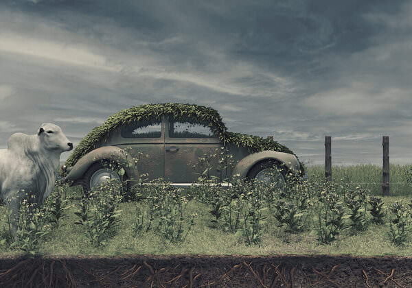 Photograph Alexandre Utrabo Car on One Eyeland