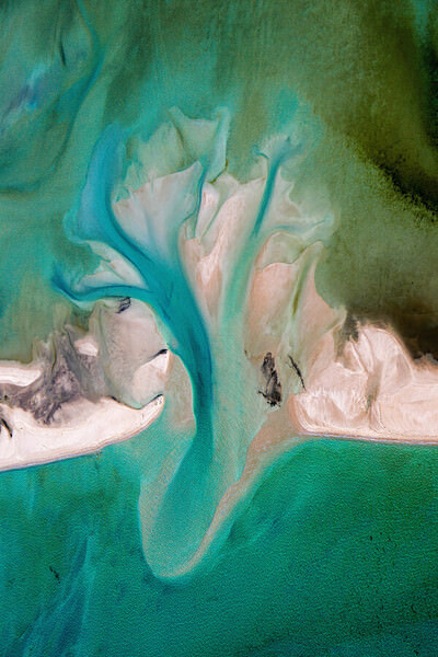 Photograph Satheesh Nair Shark Bay 3445 on One Eyeland