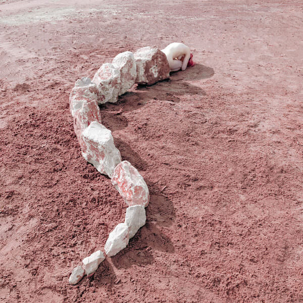 Photograph Alexandra Timofeeva Snake on One Eyeland