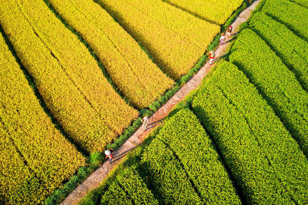 Photograph Rahmad Himawan Morning Spirit Of Farmers on One Eyeland