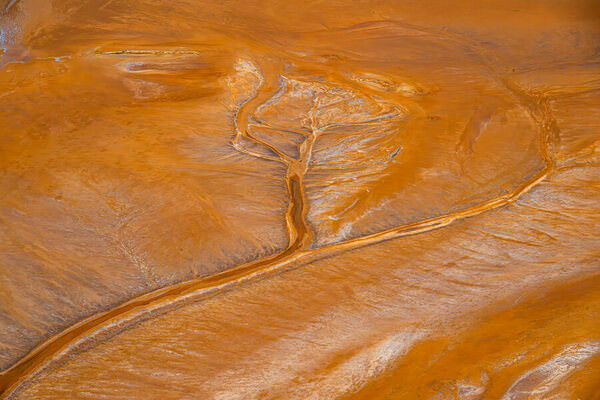 Photograph Satheesh Nair Shark Bay 7667 on One Eyeland