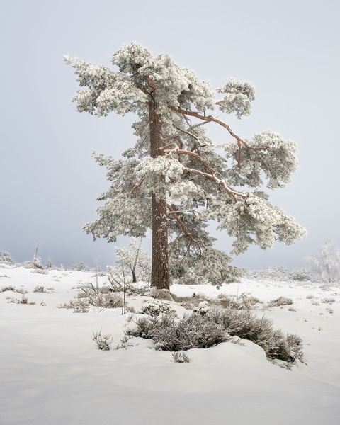 Photograph Benjamin Hoeger Spotlighted on One Eyeland