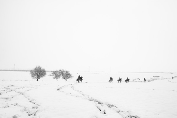 Photograph Mohammad Alipour Horseriders on One Eyeland
