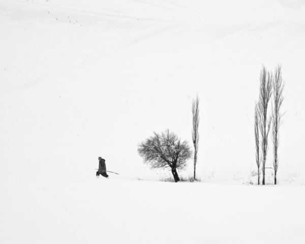 Photograph Mohammad Alipour Winter on One Eyeland