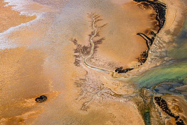 Photograph Satheesh Nair Shark Bay 7863 on One Eyeland