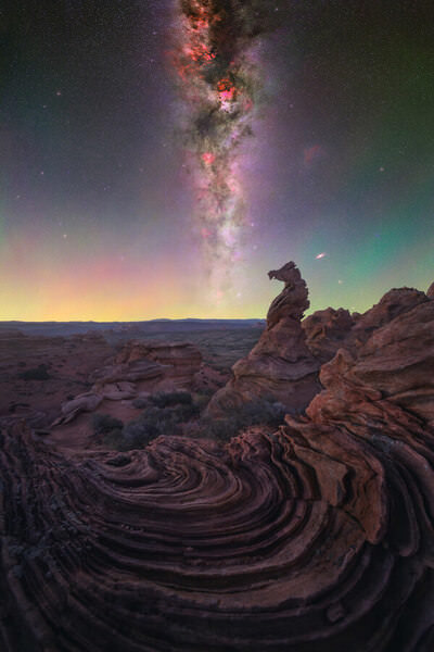Photograph Daniel Vine Garcia Seahorse on One Eyeland
