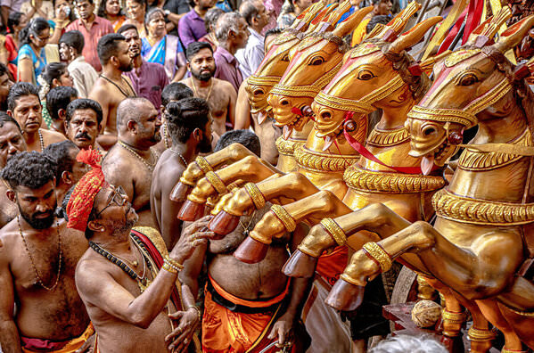 Photograph Ravindra Ranasinghe Golden Chariots Of Devotion on One Eyeland