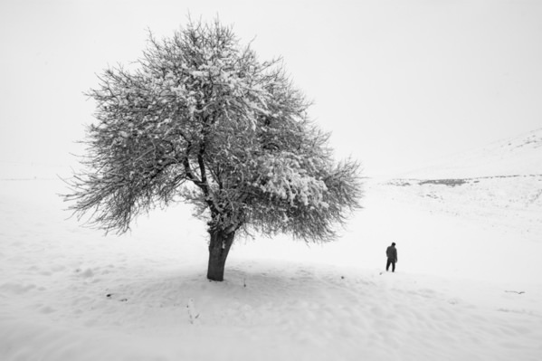Photograph Mohammad Alipour Alone on One Eyeland