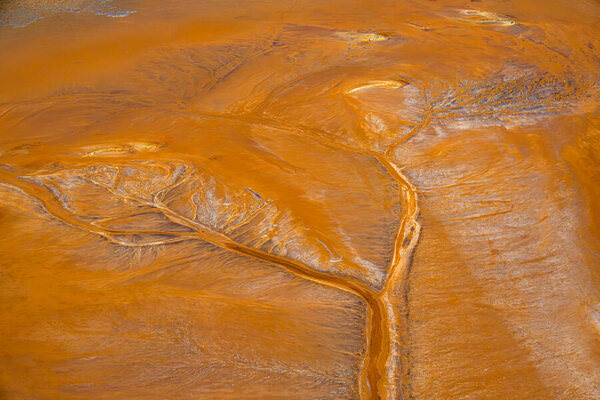 Photograph Satheesh Nair Shark Bay 7724 on One Eyeland