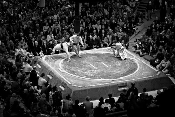 Photograph Gary E Karcz Sumo on One Eyeland