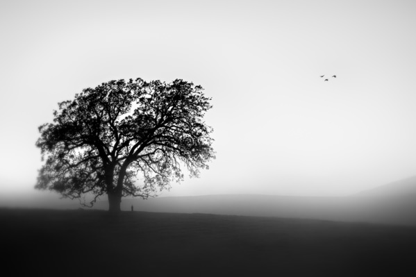 Photograph Gary E Karcz Quiet on One Eyeland