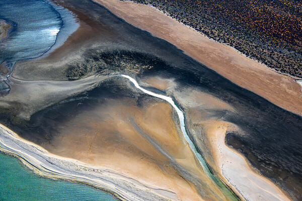 Photograph Satheesh Nair Shark Bay 3145 on One Eyeland
