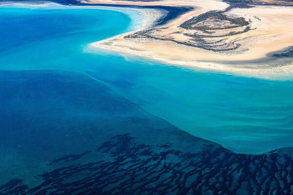 Photograph Satheesh Nair Shark Bay 7385 on One Eyeland