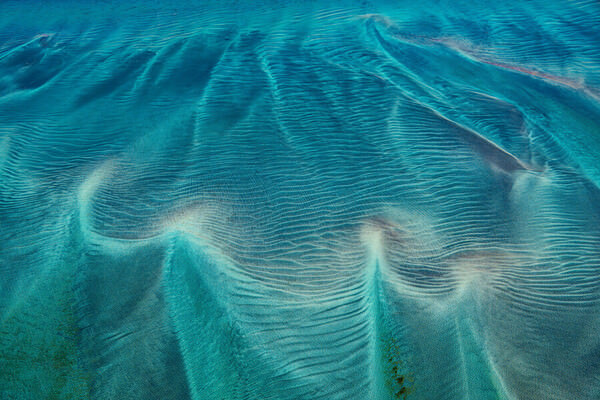 Photograph Satheesh Nair Shark Bay 6194 on One Eyeland