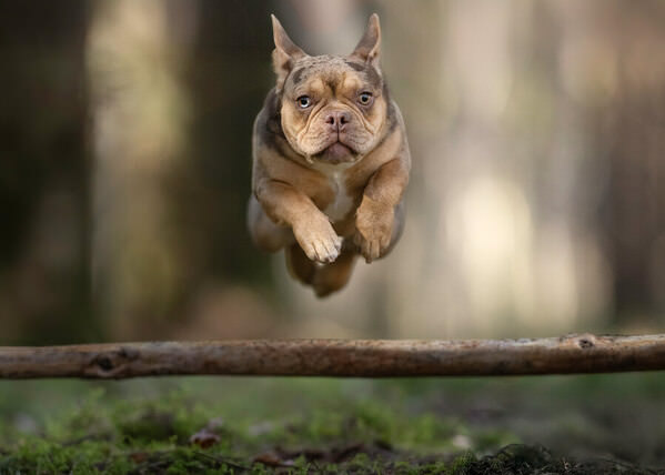 Photograph Mike Kremer Jumping Time on One Eyeland