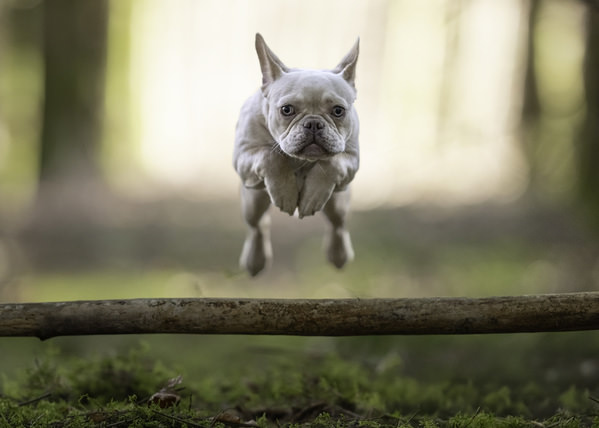 Photograph Mike Kremer Luna In Action on One Eyeland