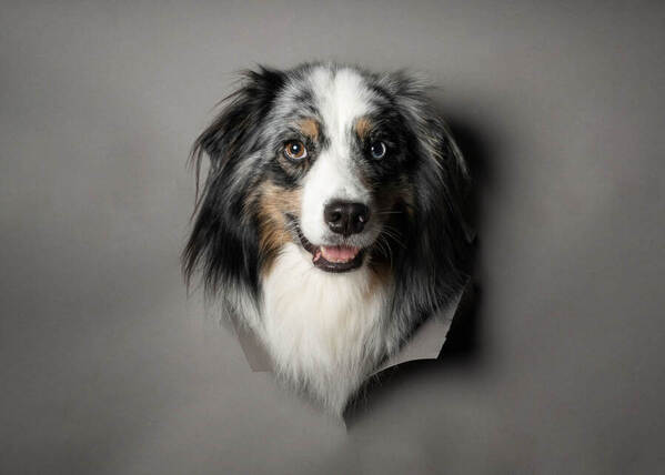 Photograph Mike Kremer Kaya on One Eyeland