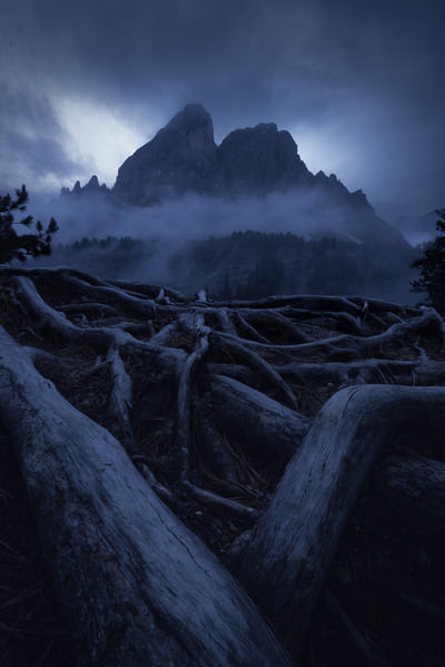 Photograph Petr Kleisner Moody Afternoon By Roots on One Eyeland