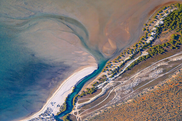 Photograph Satheesh Nair Shark Bay 12922 on One Eyeland