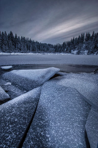 Photograph Luca Zarri Iced Black Forest on One Eyeland