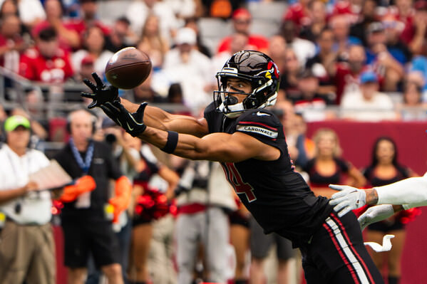 Photograph Arianna Grainey Cardinals Catch on One Eyeland