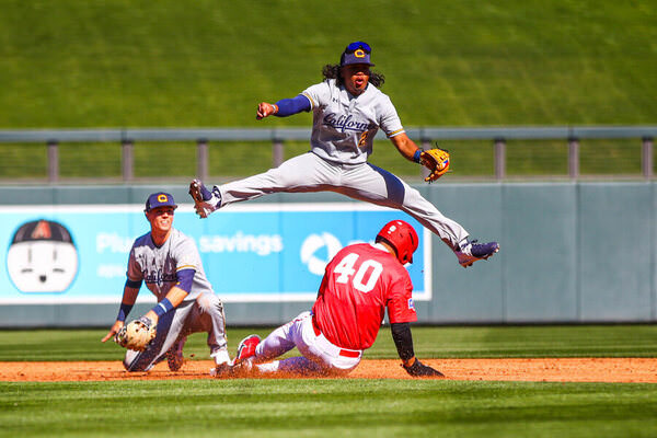 Photograph Arianna Grainey Baseball Hurdle on One Eyeland