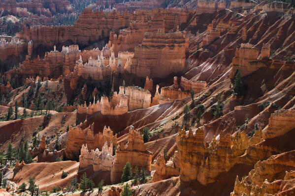 Photograph Arianna Grainey Bryce Canyon on One Eyeland
