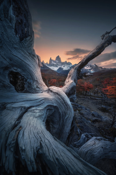 Photograph Roksolana Baran The Wind Lands Grasp on One Eyeland