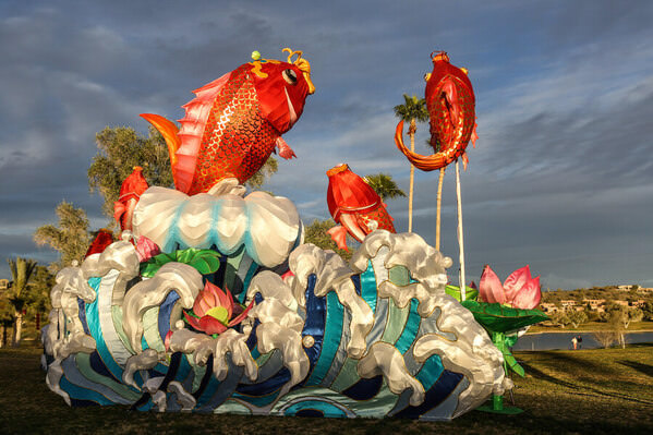 Photograph Arianna Grainey Chinese Lantern on One Eyeland