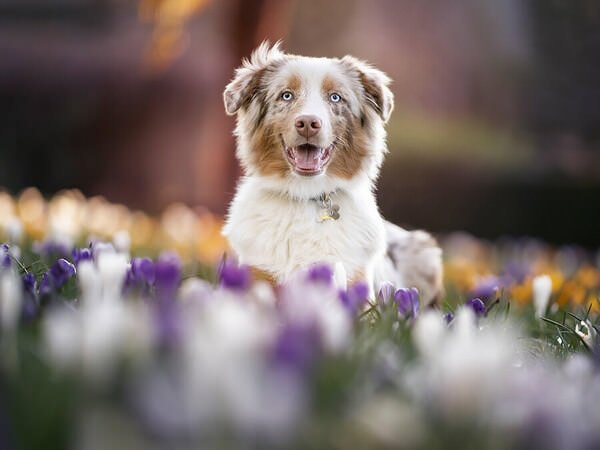 Photograph Mike Kremer Flowerpower With Neo on One Eyeland