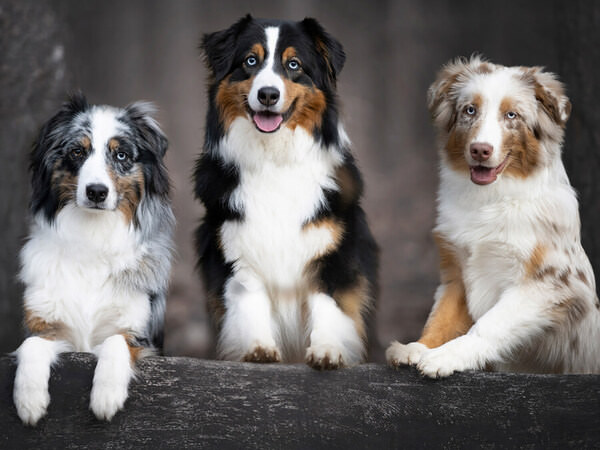 Photograph Mike Kremer My Besties Kaya Blue And Neo on One Eyeland