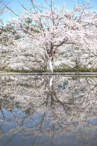 Photograph Setsuna Kurouzu Reflection on One Eyeland