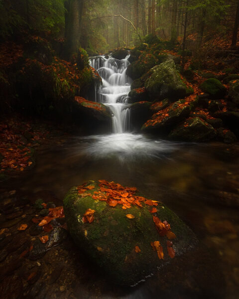 Photograph Petr Kleisner Forest Waterfall on One Eyeland