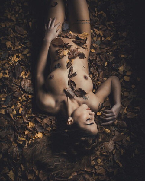 Photograph Thierry Smets Les Feuilles on One Eyeland