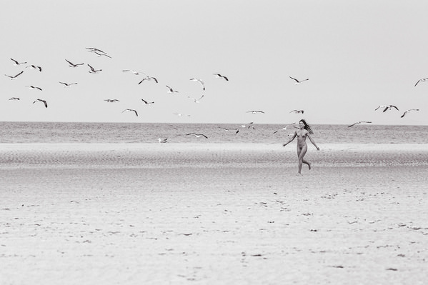 Photograph Thierry Smets Les Oiseaux on One Eyeland