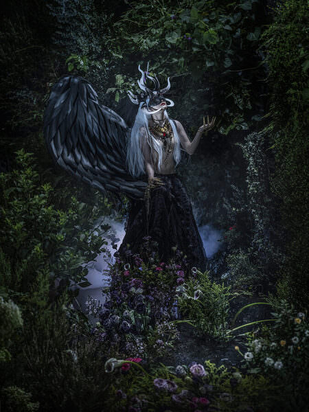 Photograph Haseo Hasegawa Swamp Demon on One Eyeland