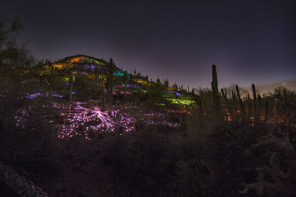 Photograph Arianna Grainey Dbg Bruce Munro on One Eyeland
