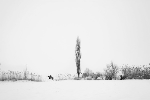Photograph Mohammad Alipour Snow Day on One Eyeland
