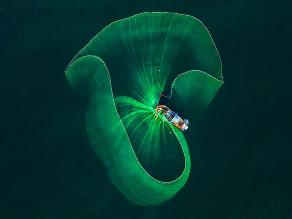 Photograph Quan Nguyen Mushrooms In The Ocean on One Eyeland