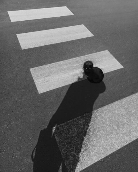 Photograph Ali Zolghadri Shared Eyes on One Eyeland